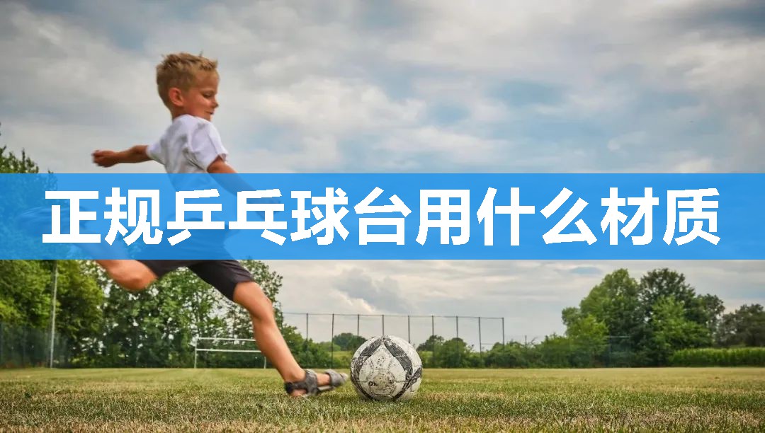 正规乒乓球台用什么材质