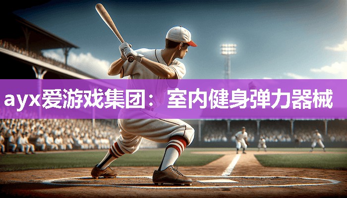 ayx爱游戏集团：室内健身弹力器械