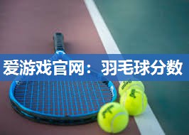 爱游戏官网：羽毛球分数
