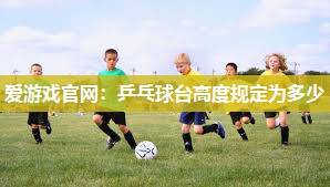 乒乓球台高度规定为多少