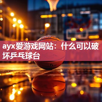 什么可以破坏乒乓球台