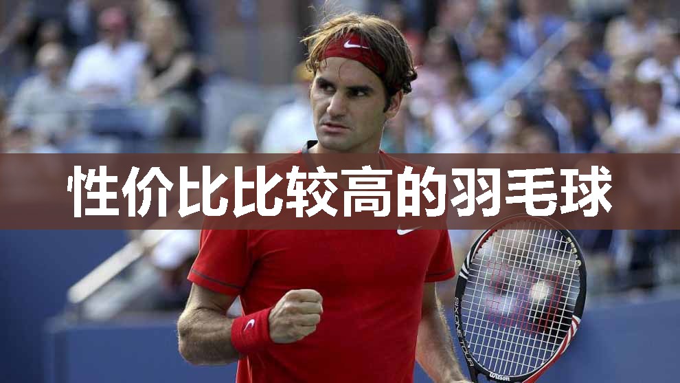 性价比比较高的羽毛球