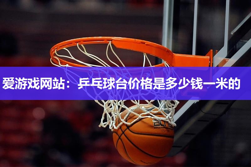 乒乓球台价格是多少钱一米的