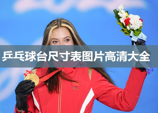 乒乓球台尺寸表图片高清大全