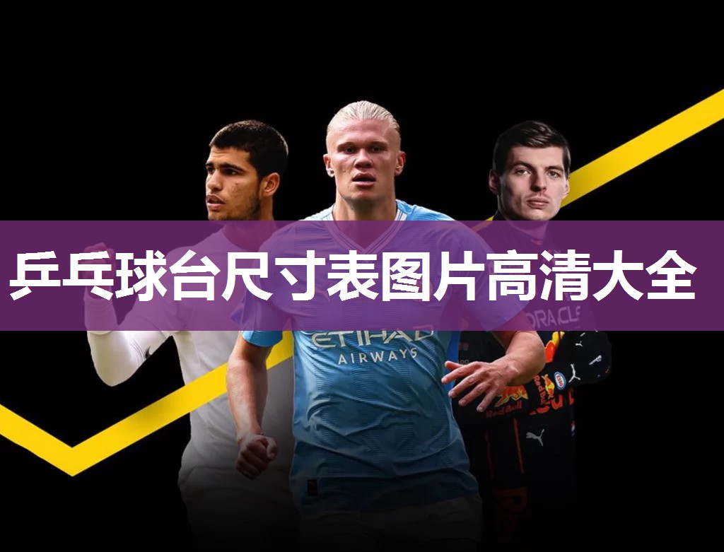 乒乓球台尺寸表图片高清大全